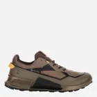 Buty sportowe męskie Gore-Tex Biom 2.1 X Mtn M Gtx
